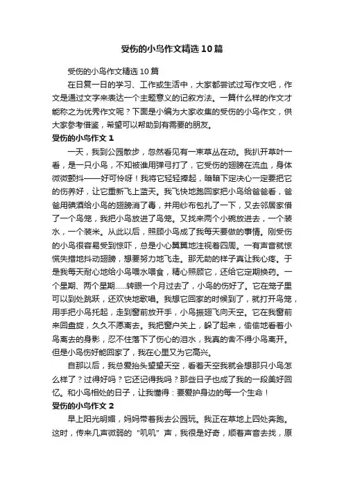 受伤的小鸟作文精选10篇