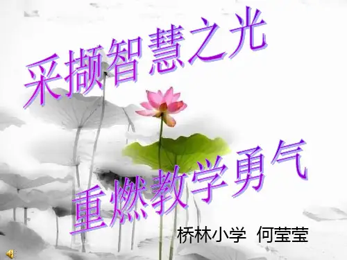 《我的教学勇气》读后感
