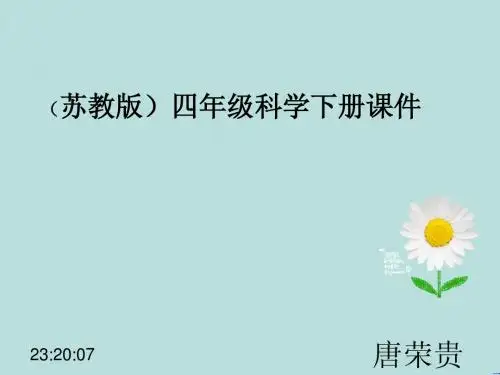 苏教版四年级下册《预测》
