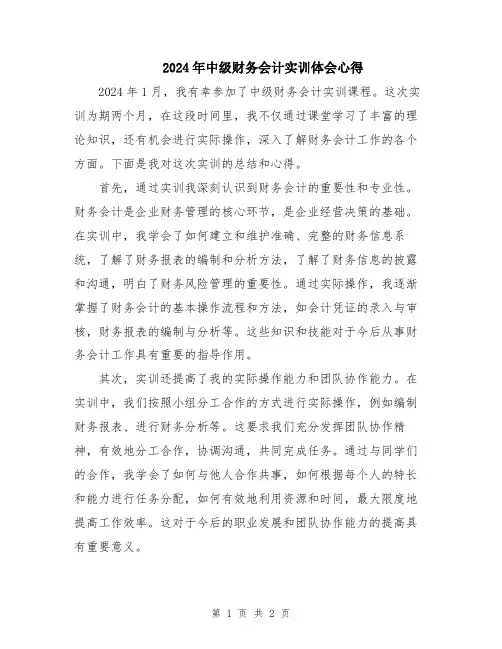 2024年中级财务会计实训体会心得