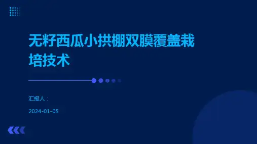 无籽西瓜小拱棚双膜覆盖栽培技术