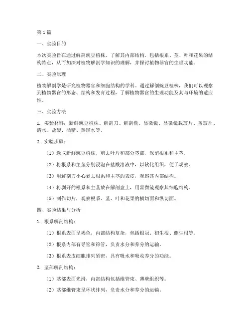 解剖豌豆实验报告总结(3篇)