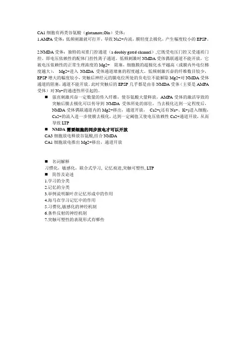 CA1细胞有两类谷氨酸