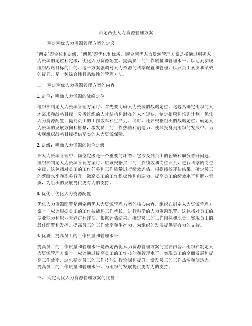 两定两优人力资源管理方案