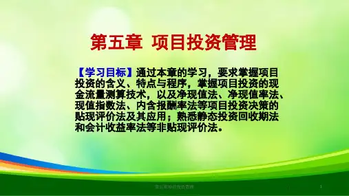 项目投资管理概述(ppt 18页)