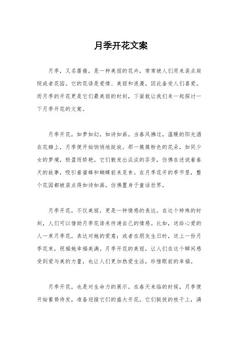 月季开花文案