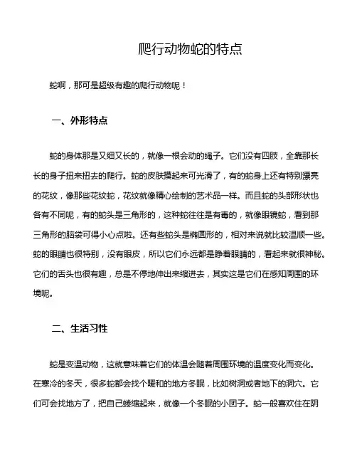 爬行动物蛇的特点