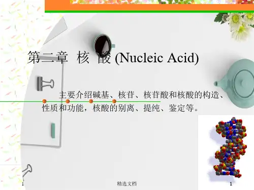 核酸化学(汇总).ppt