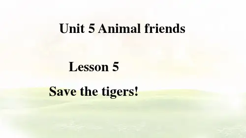 Unit 5 Lesson 5 Save the tigers课件 英语冀教版(2024)七年级上册