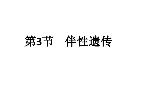 人教版高中生物必修二  2.3 伴性遗传  课件(共43张PPT)