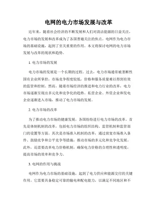 电网的电力市场发展与改革