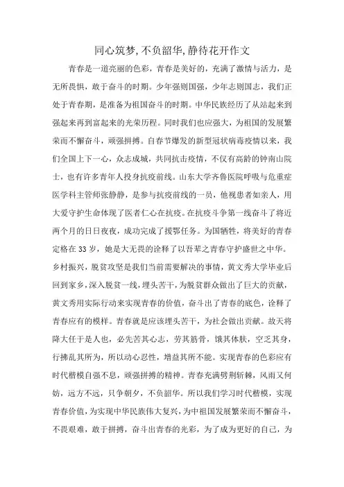 同心筑梦,不负韶华,静待花开作文