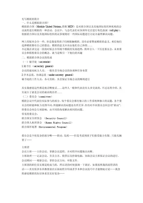 模拟联合国——精选推荐