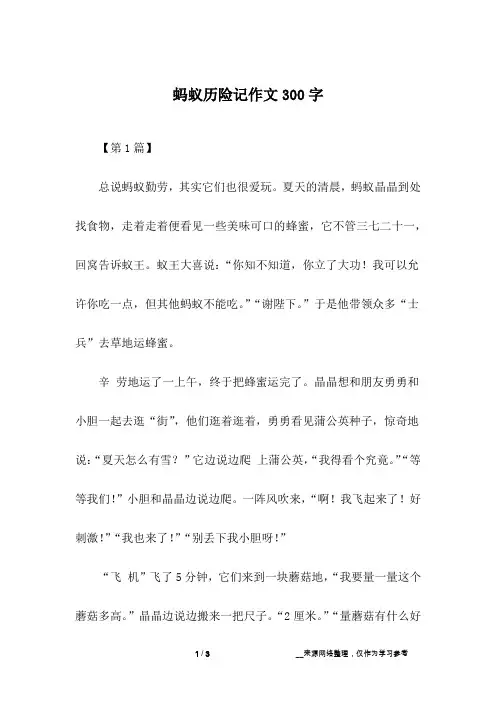 蚂蚁历险记作文300字