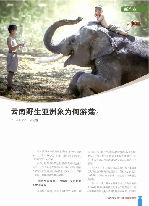 云南野生亚洲象为何游荡