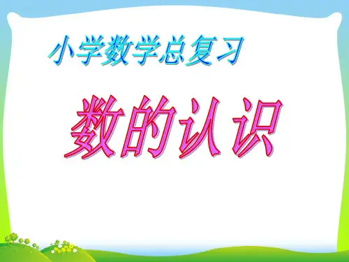 【新】苏教版六年级数学下册《数的认识(数与代数)》总复习课件.ppt