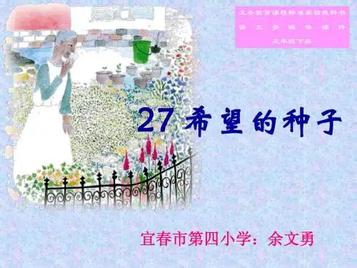 希望的种子