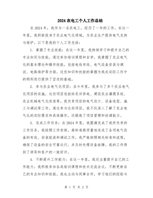 2024农电工个人工作总结