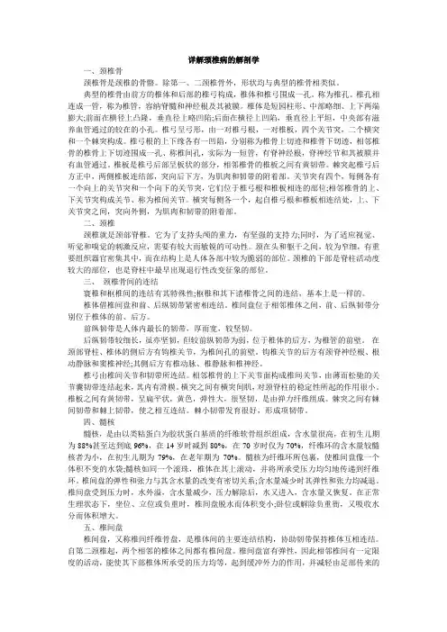 颈椎病的解剖学