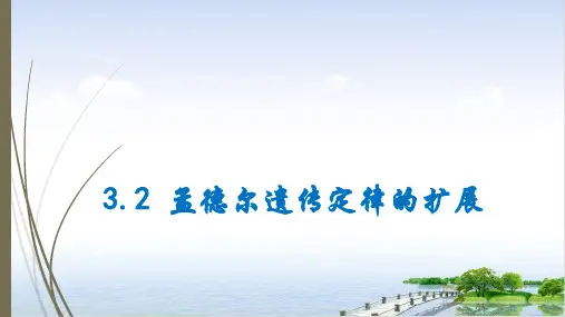 孟德尔遗传规律的扩展