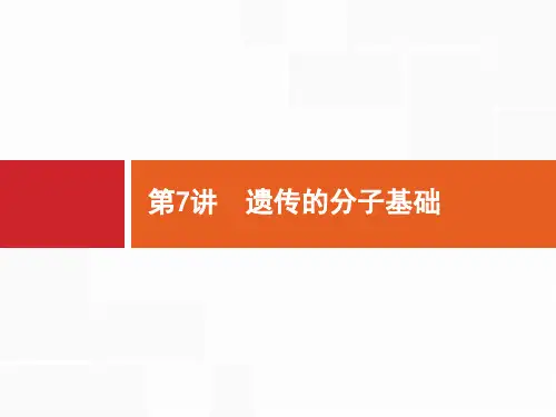 2020高考生物二轮课标通用课件：第7讲 遗传的分子基础