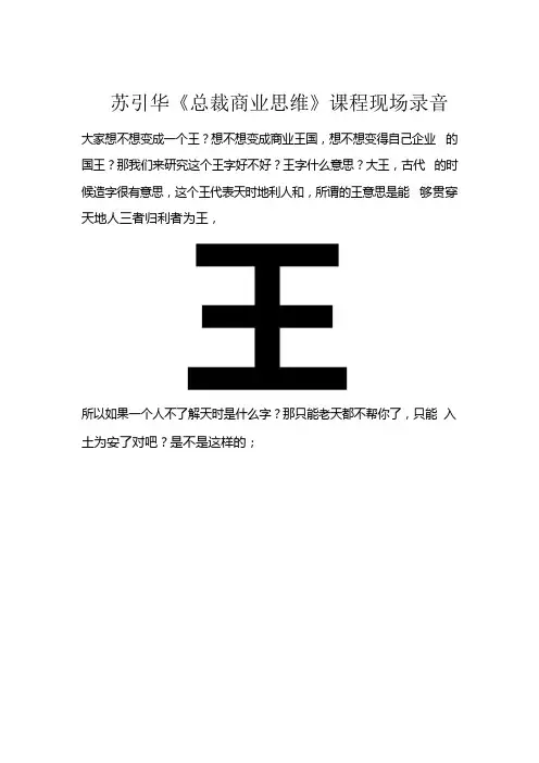 苏引华《总裁商业思维》课程现场录音文档