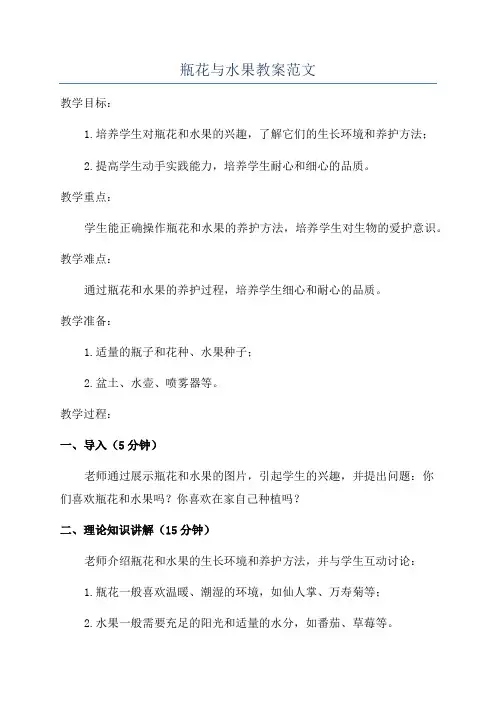 瓶花与水果教案范文