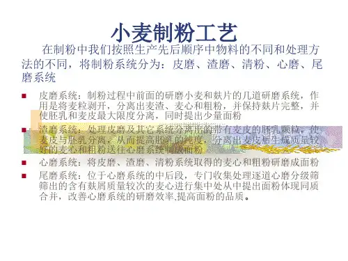 制粉工艺课件(1)