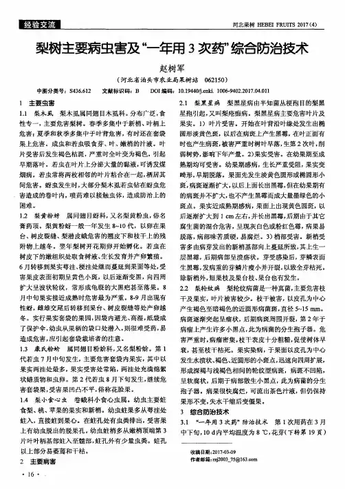 梨树主要病虫害及“—年用3次药”综合防治技术