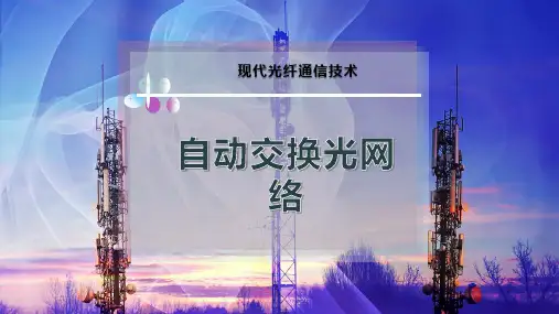 自动交换光网络