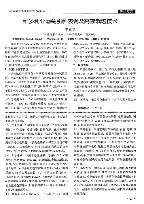 维多利亚葡萄引种表现及高效栽培技术
