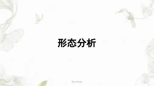 形态分析(全)ppt课件