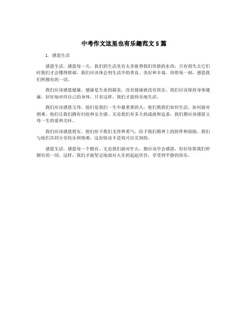 中考作文这里也有乐趣范文5篇