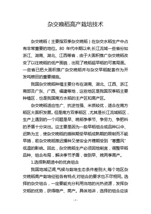 杂交晚稻高产栽培技术