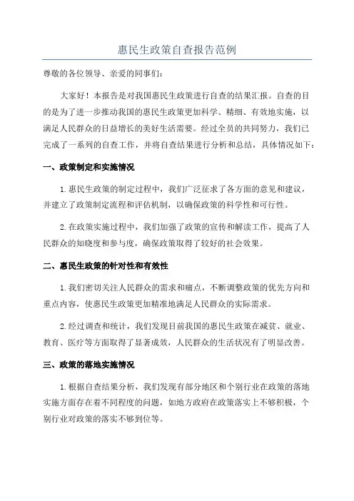 惠民生政策自查报告范例