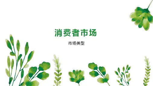 消费者市场 