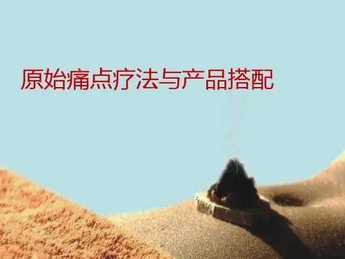 原始痛点疗法与产品搭配.
