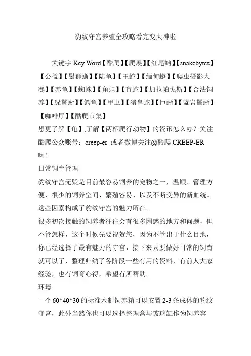 豹纹守宫养殖全攻略看完变大神啦