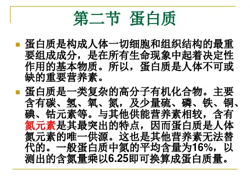 营养学基础知识2(蛋白质)