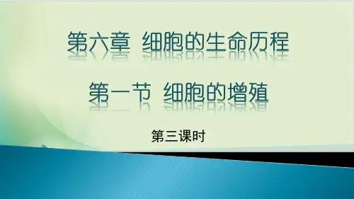 人教版《细胞的增殖》ppt1