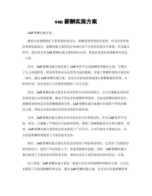 sap薪酬实施方案