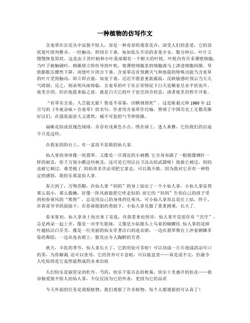 一种植物的仿写作文