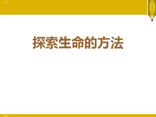 《探索生命的方法》PPT课件【优质课件】