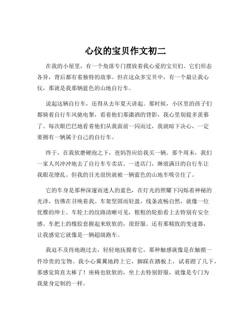心仪的宝贝作文初二