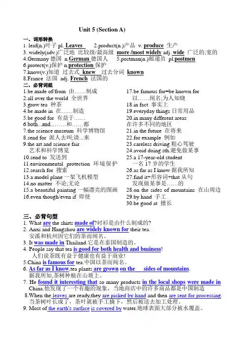 Unit5知识清单+2024-2025学年人教版英语九年级全册
