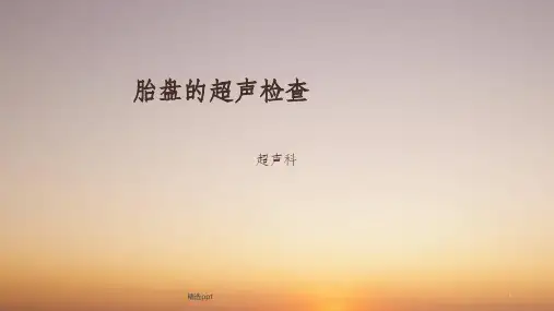 胎盘的超声检查PPT课件