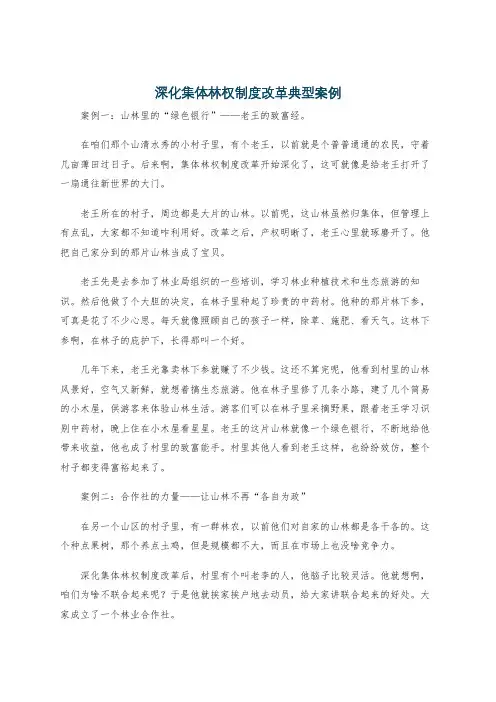 深化集体林权制度改革典型案例