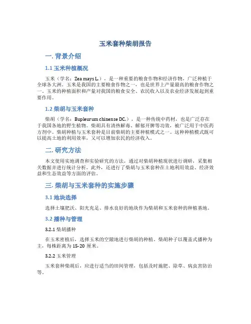 玉米套种柴胡报告