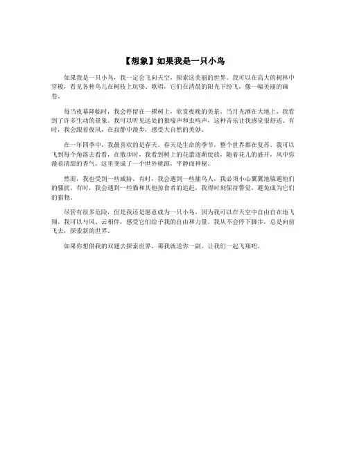 【想象】如果我是一只小鸟