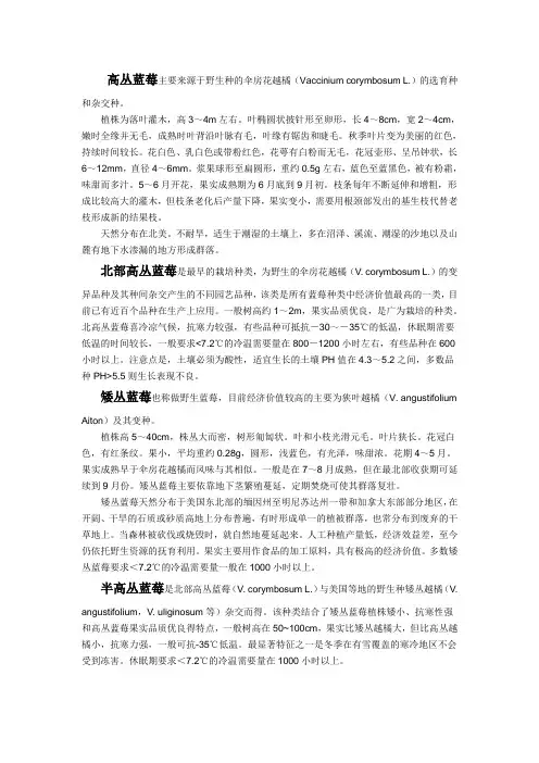 蓝莓品种